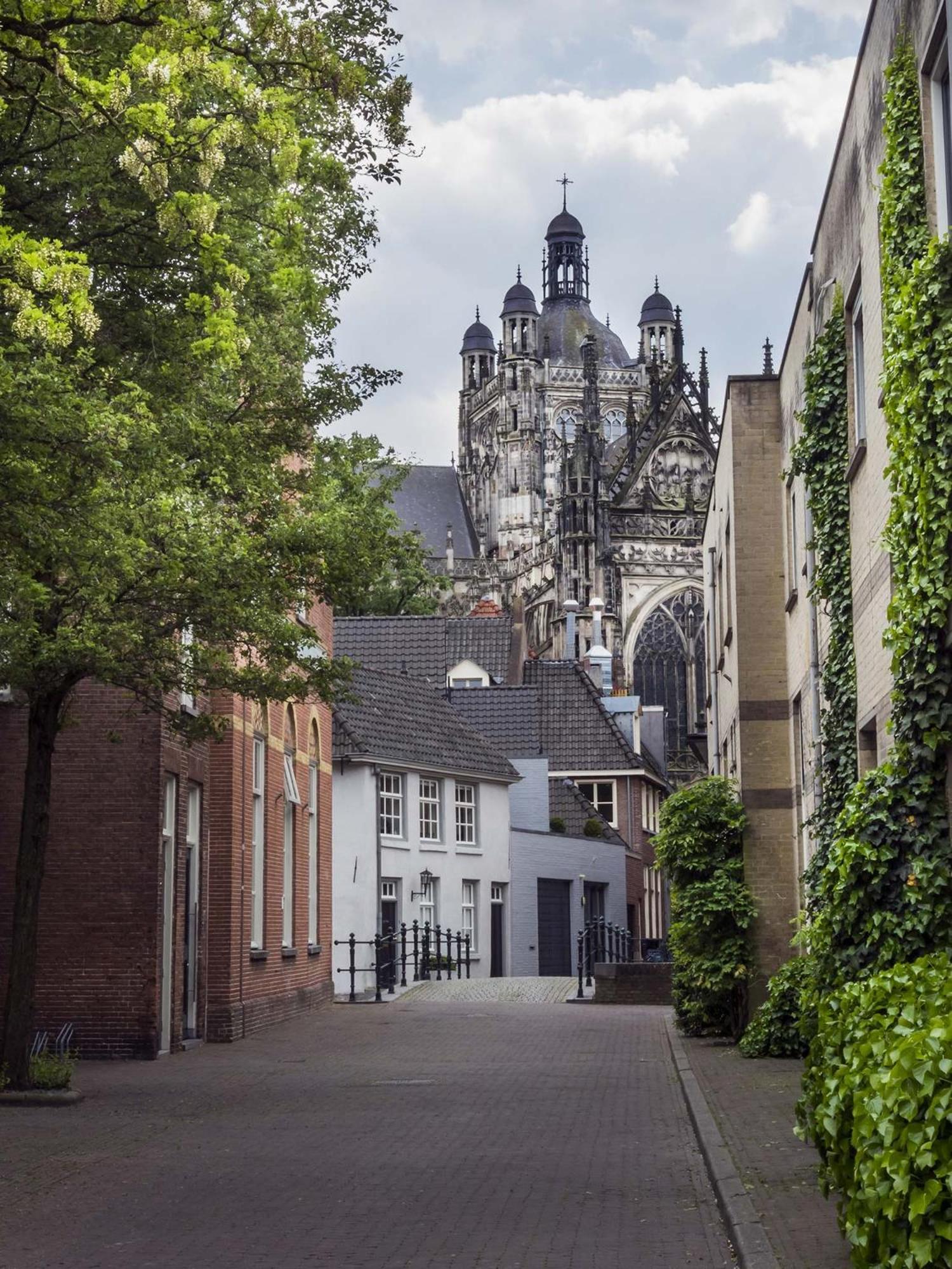 Hotel De Ruwenberg- Sint Michielsgestel Exterior foto